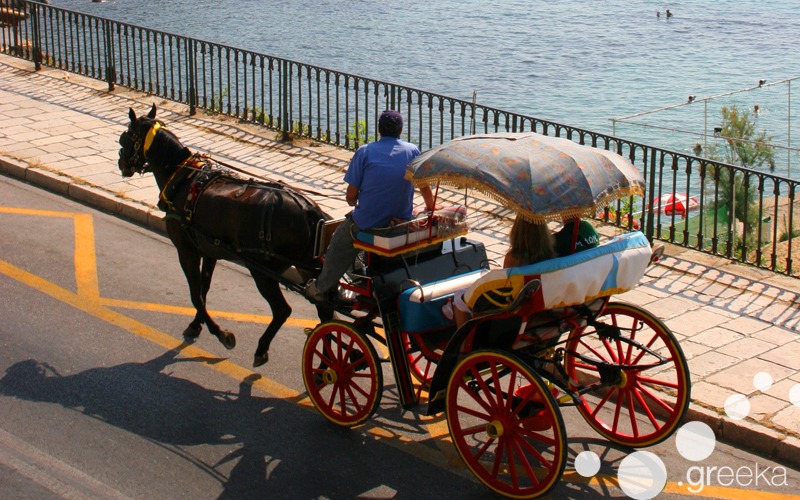 Horse carriage in Corfu