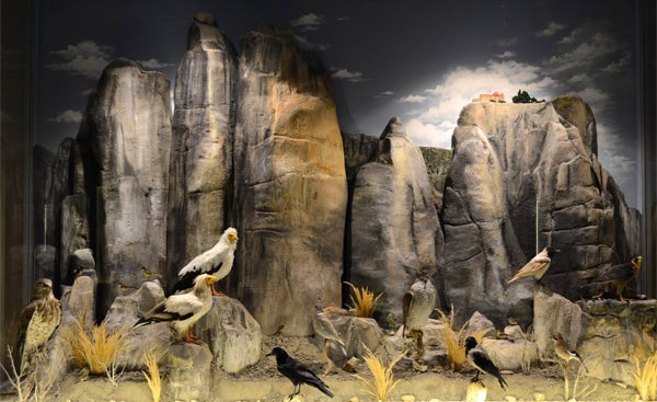 Museums in Greece: Natural History Museum in Meteora