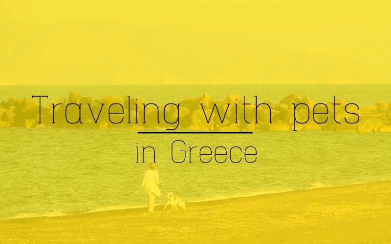 Things to know for traveling with pets in Greece