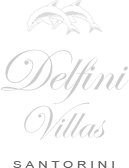 Delfini Villas logo