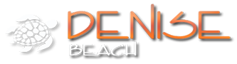 Denise Beach logo