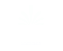Zeus Village logo