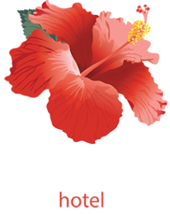 Ibiscus logo