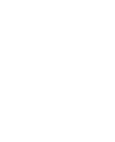 Contessina Zakynthos logo