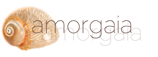 Amorgaia logo