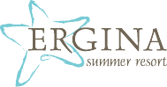 Ergina logo