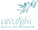 Kontogoni logo
