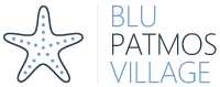 Blu Village logo