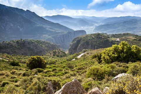 Mountainous landscape with dense vegetation. Lassithi, Crete.
