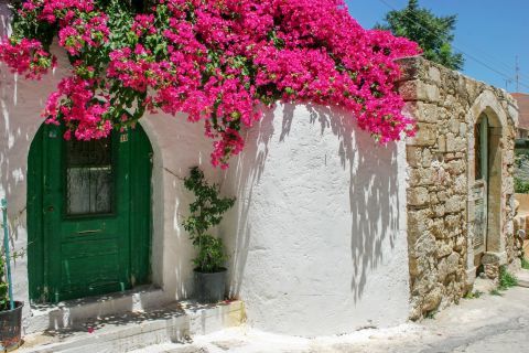 Whitewashed house with colorful flowers