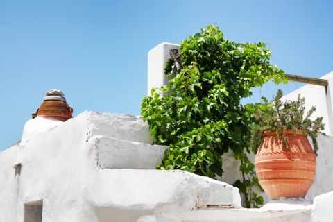 Whitewashed building in Lagada village, Amorgos. It is decorated with clay pots and flowers.