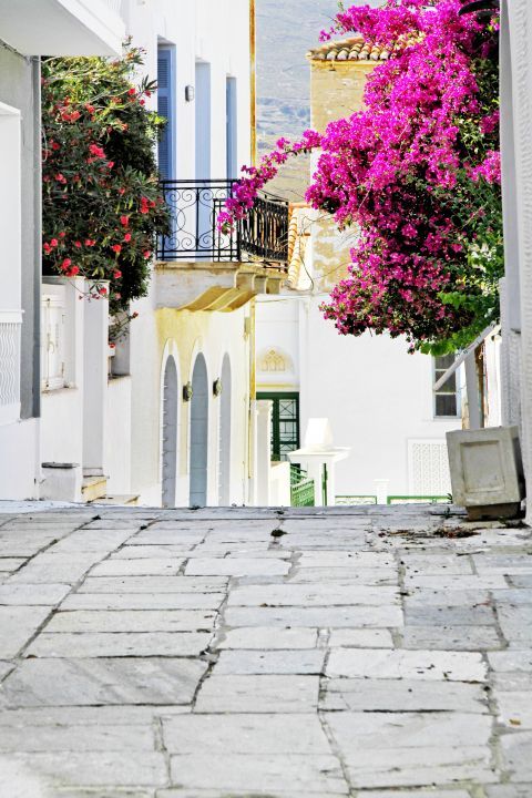 Exploring the beauties of Chora, Andros. Paved alleys and colorful flowers.