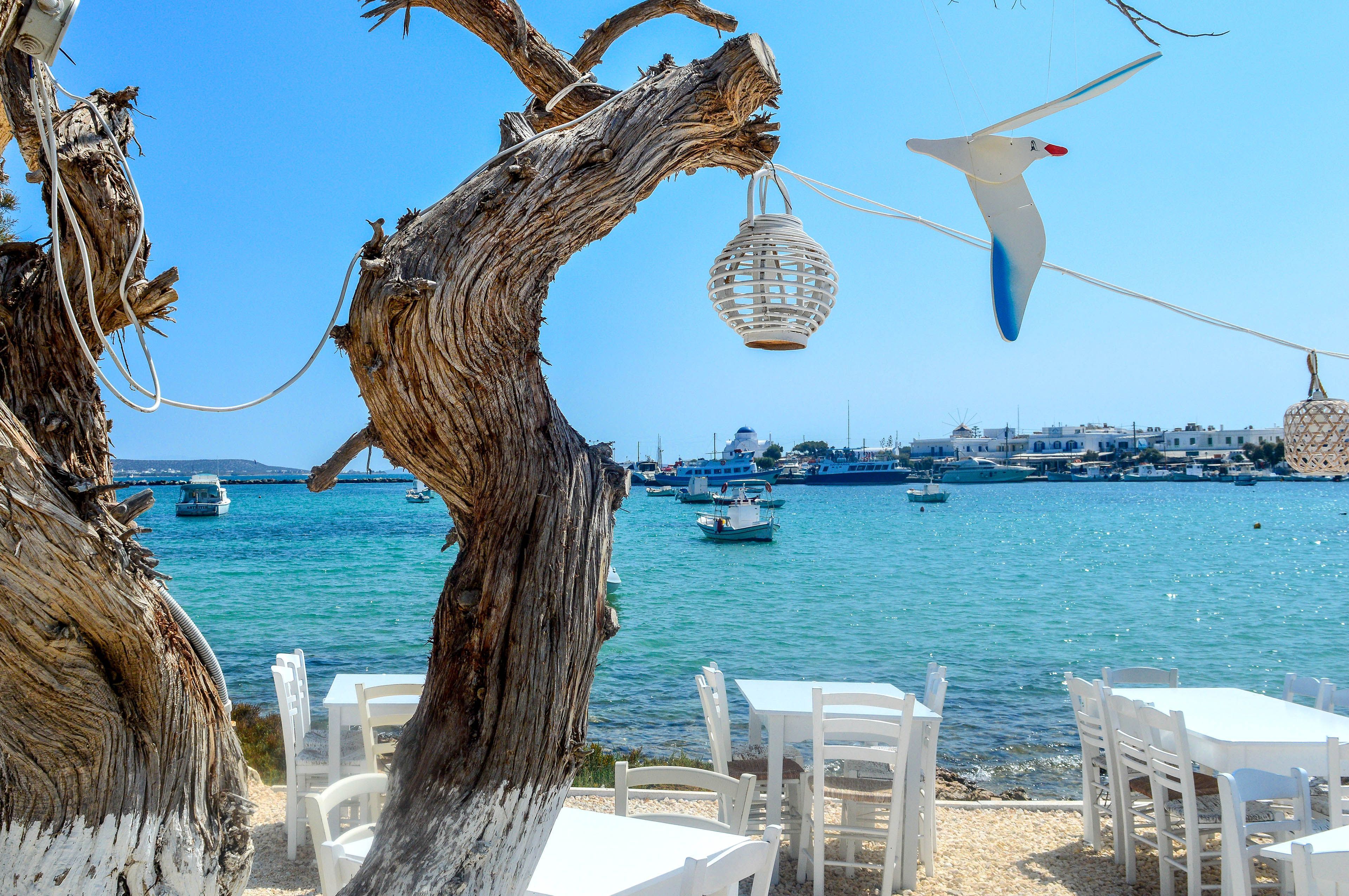 Best 7 Restaurants in Antiparos, Greece | Greeka