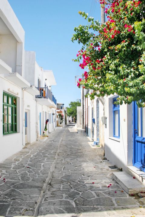 A paved street with lovely, Cycladic houses.