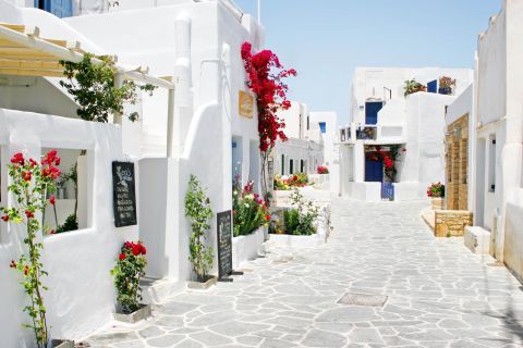 Whitewashed buildings and fuchsia flowers