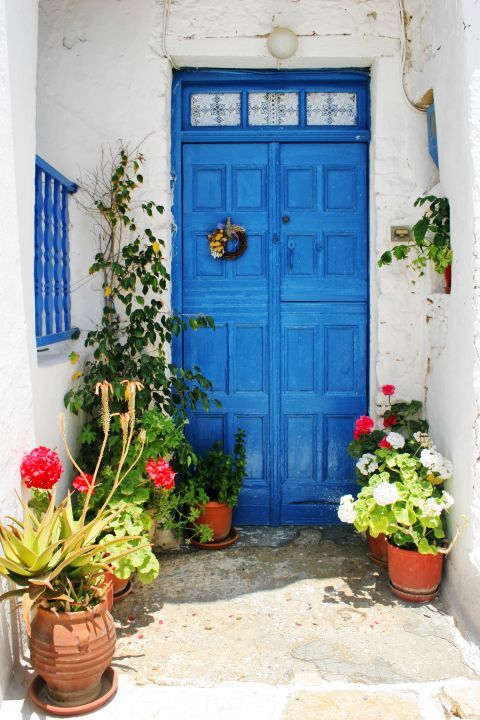 A typical Cycladic house with a blue door and beautiful flowers