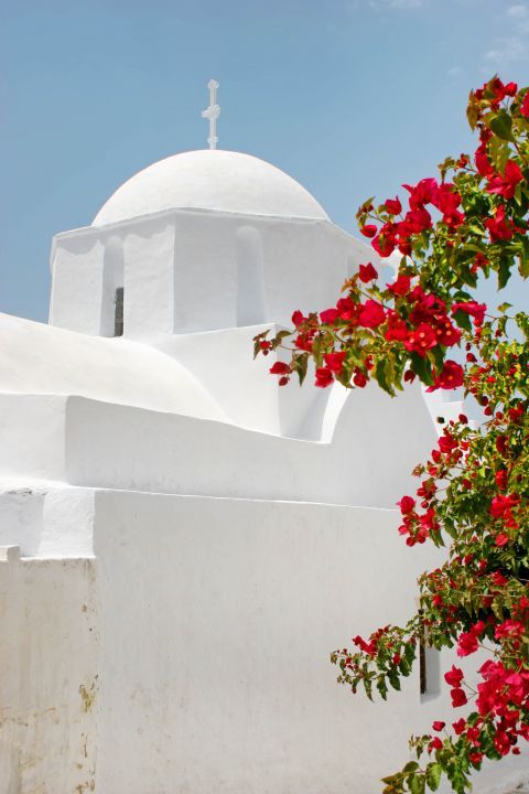 Whitewashed buildings and colorful flowers. Chora, Amorgos.