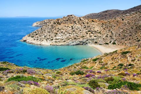The surroundings of Diamoudia beach are secluded and unspoiled.