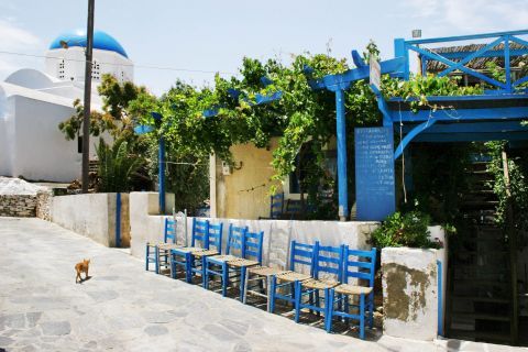 Traditional greek tavern