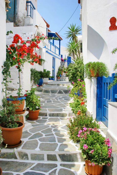 Picturesque yards, decorated with colorful flowers.