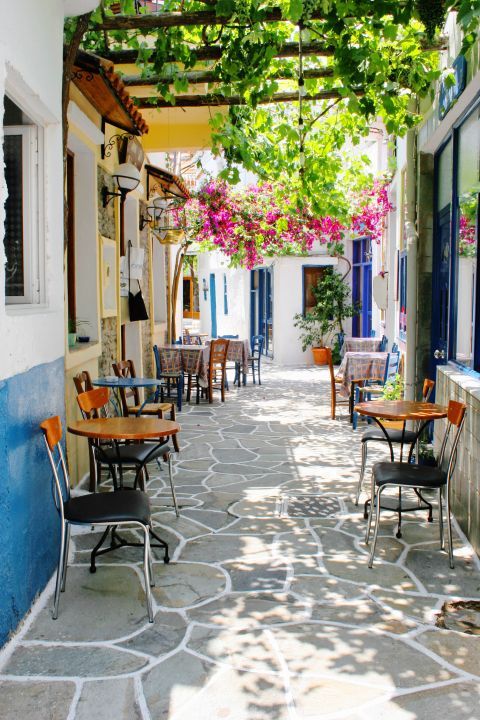 A quiet alley with cafes and taverns, shaded by vines and fuchsia flowers. Driopida village.
