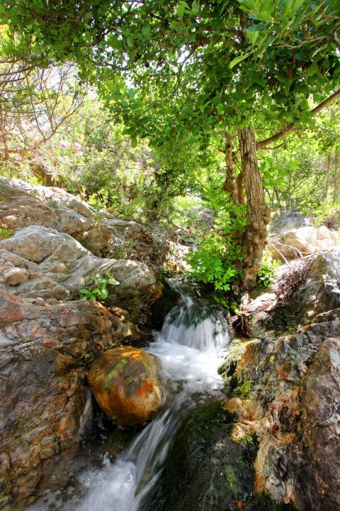 A flowing river. Wonderful nature of Naxos.