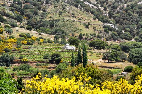 Impressive nature and green fields. Sifones, Naxos.