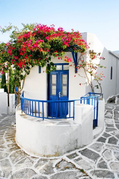 White and blue building, decorated with fuchsia flowers. Lefkes village.
