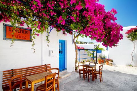 A traditional Greek kafenio.