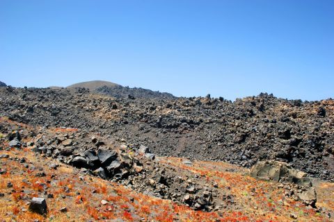The volcanic soil of Santorini