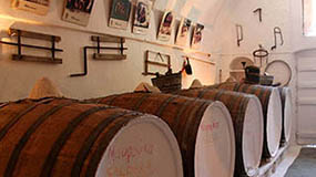 Traditional wine canava, the store rooms