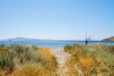 Short vegetation is spotted around Agios Ioannis Porto beach.