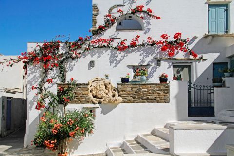 A whitewashed house with lovely flowers. Pyrgos village, Tinos.
