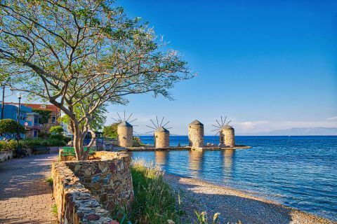 The popular windmills of Chios island.