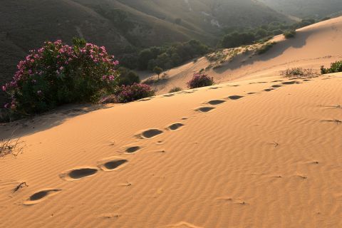 The sand dunes change shape and dimension because of the wind.