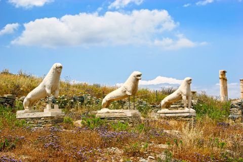 The lions of Delos