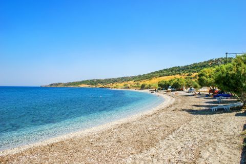 Skala Kidonion beach, Lesvos.