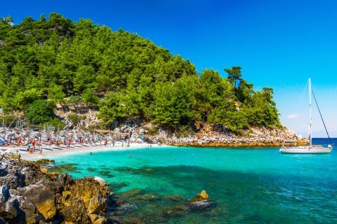 Dense vegetation and azure waters, Thassos.