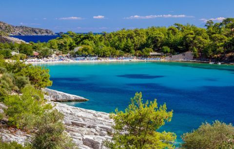 Beautiful beach with deep blue waters and vegetation, Thassos.