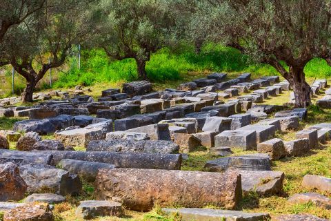 Ancient site in Sparti