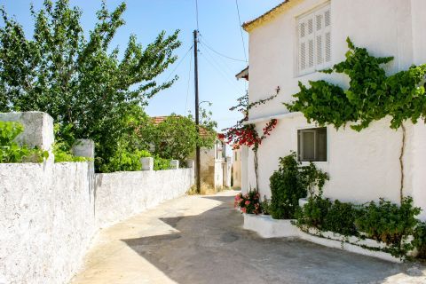 Whitewashed houses with some flowers and trees. Agios Leon village.
