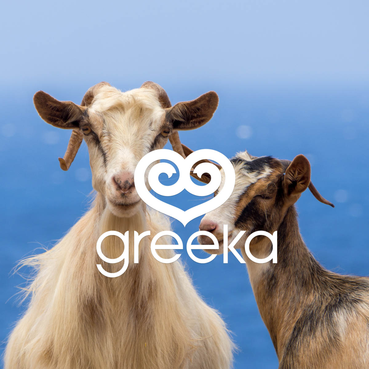 community.greeka.com