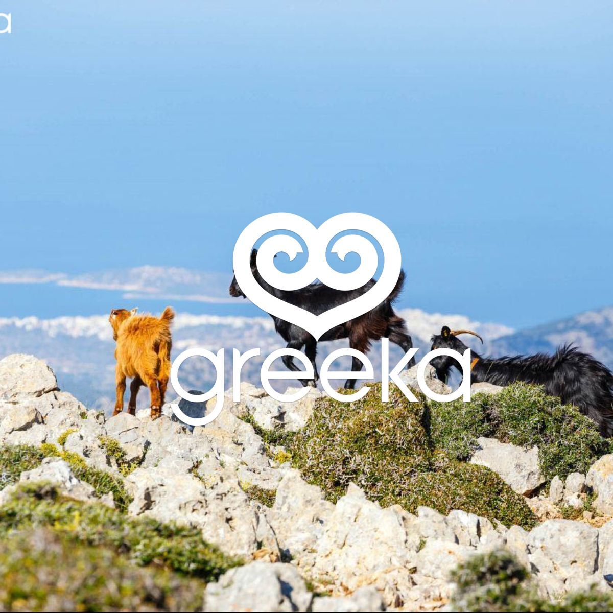 Fauna in Greece: Birds, wild and domestic animals | Greeka