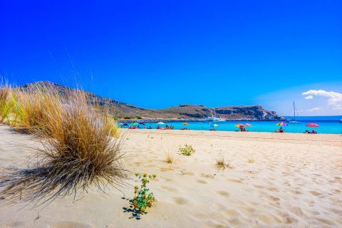 Soft sand and small bushes on Elafonissos beaches.