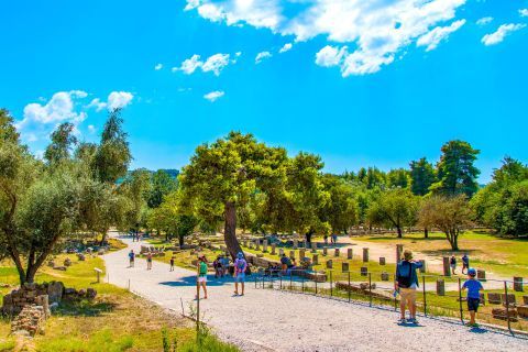 A popular, tourist attraction. Olympia, Peloponnese.