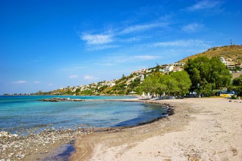 Marathonas beach in Aegina. A sandy spot with some trees
