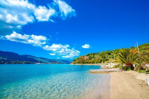Crystal clear waters, sand and some trees, Poros