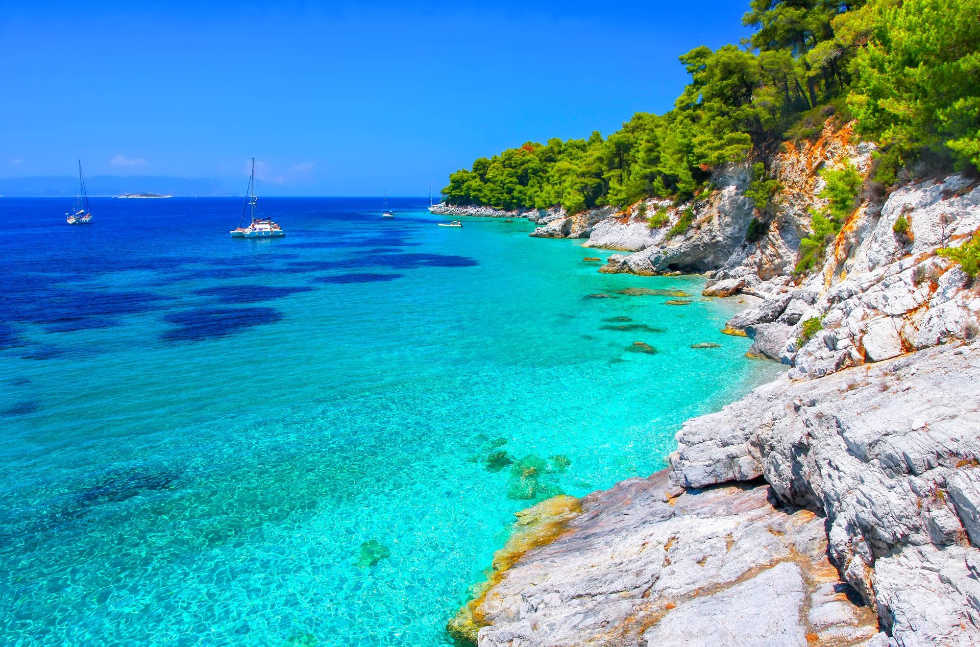 Skopelos island: Kastani Beach and its pine forest