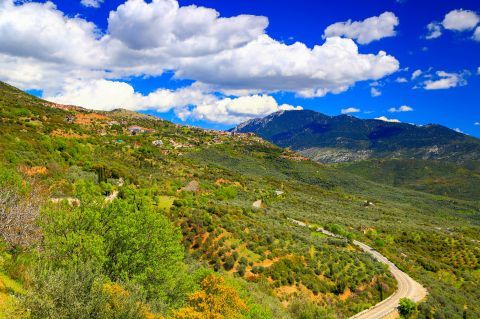 Majestic nature on Mount Parnassos