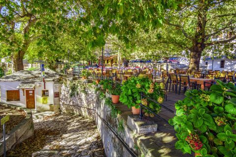 Stone paved alleys and trees in Milies village, Pelion.